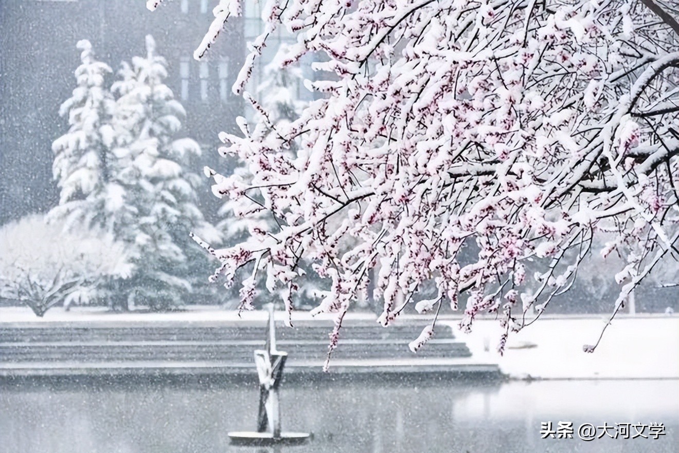 李志国菏泽,李志国牡丹