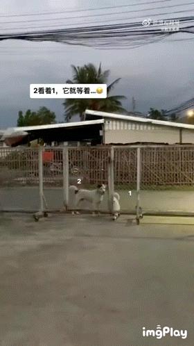 萧敬腾求婚50岁经纪人谈了多少年,萧敬腾求婚50岁经纪人多久结婚