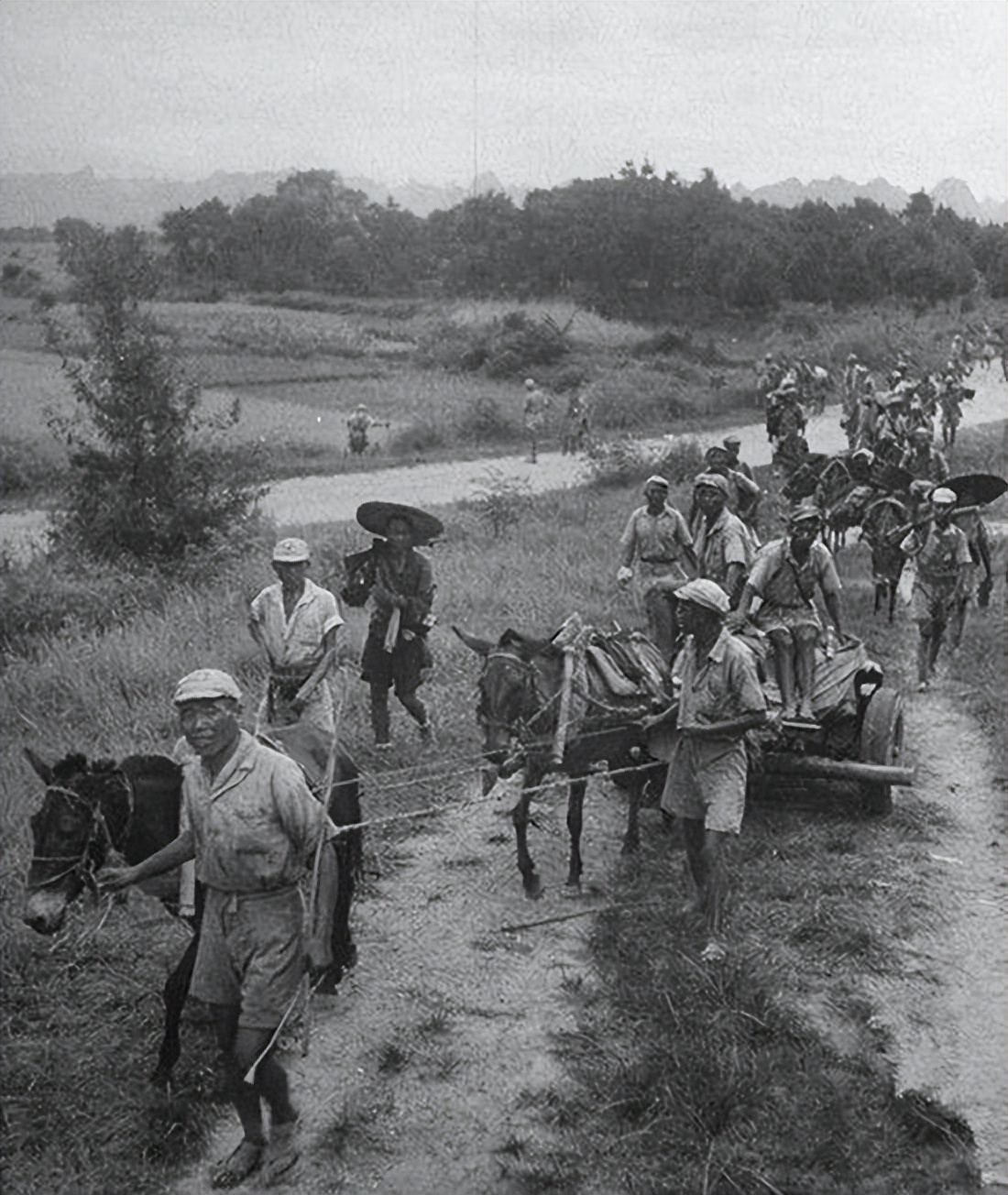 父子5人出川抗日,兄弟四人抗日仅一人活着回家