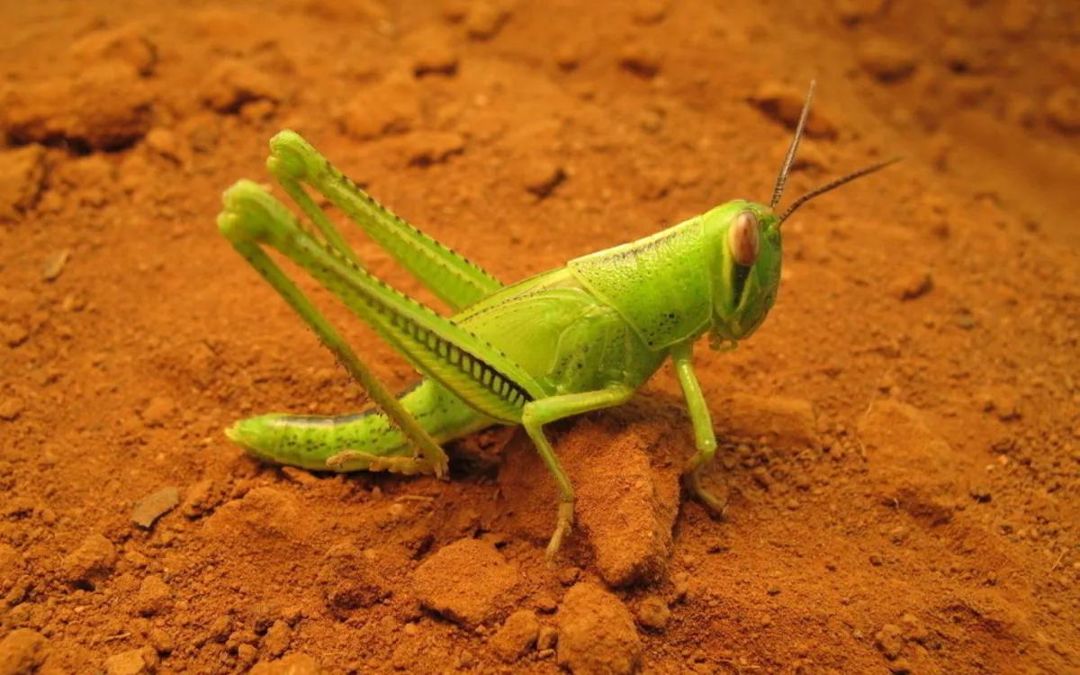 高龄产妇生孩子危害解决办法,不生孩子会不会有问题