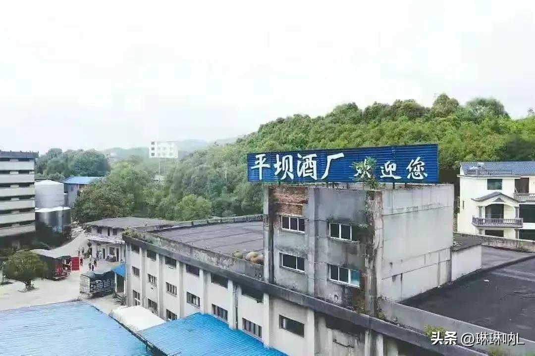 贵州老八大名酒平坝窖酒,贵州平坝窖酒复古珍藏版