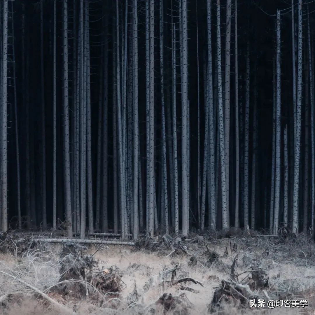 中国100张经典摄影作品,100幅顶级摄影师精心作品