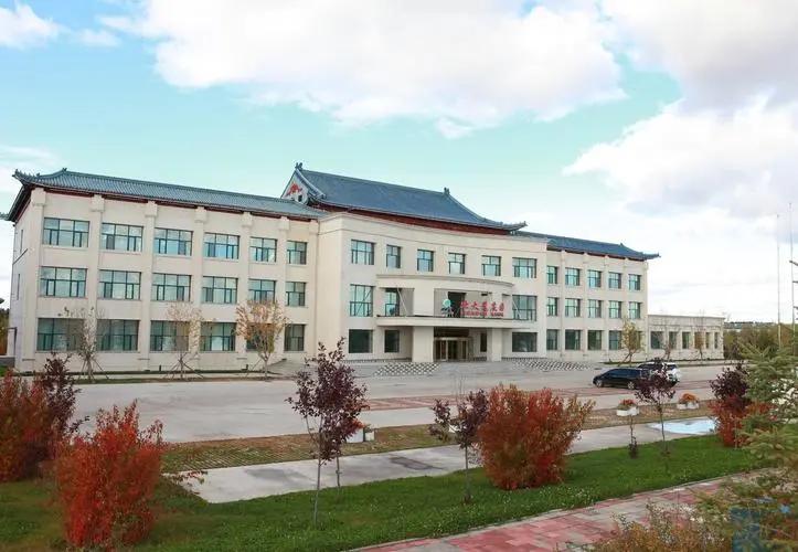 北大荒垦荒什么时候开始的,北大荒退耕还荒原因