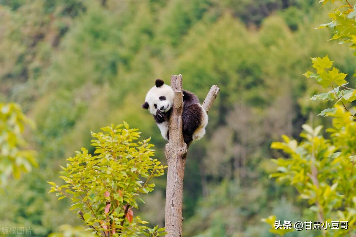 兰州最好找工作的网站,靠谱兰州找工作网络平台