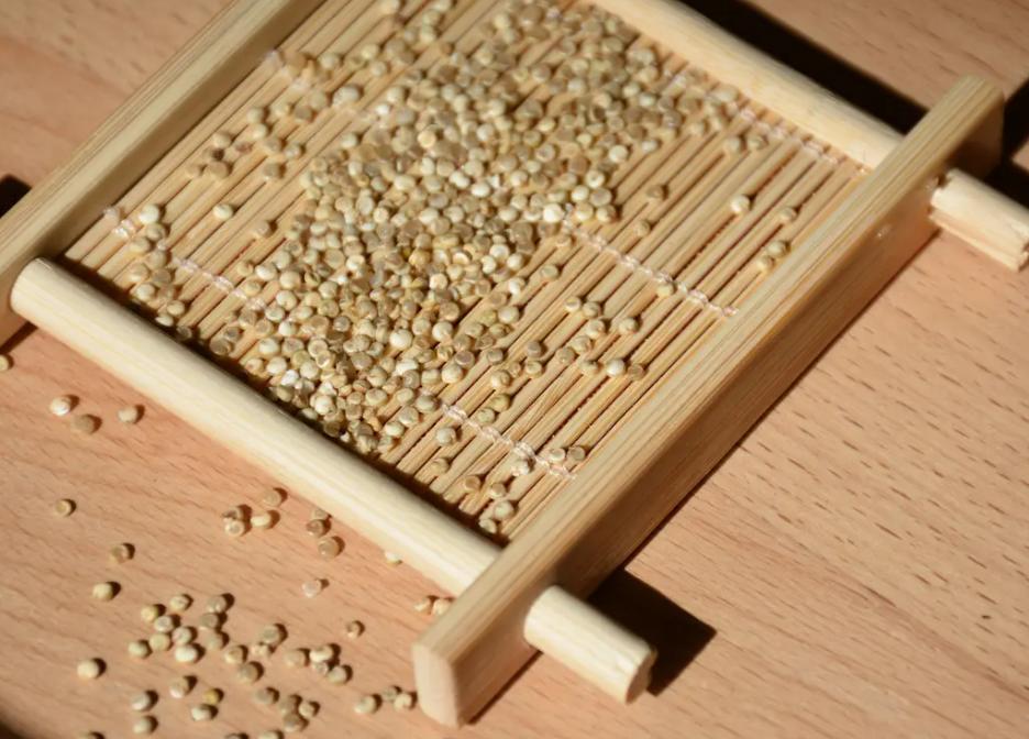 痰湿肥胖中医辨证论治,中医治疗痰湿肥胖的经方验方