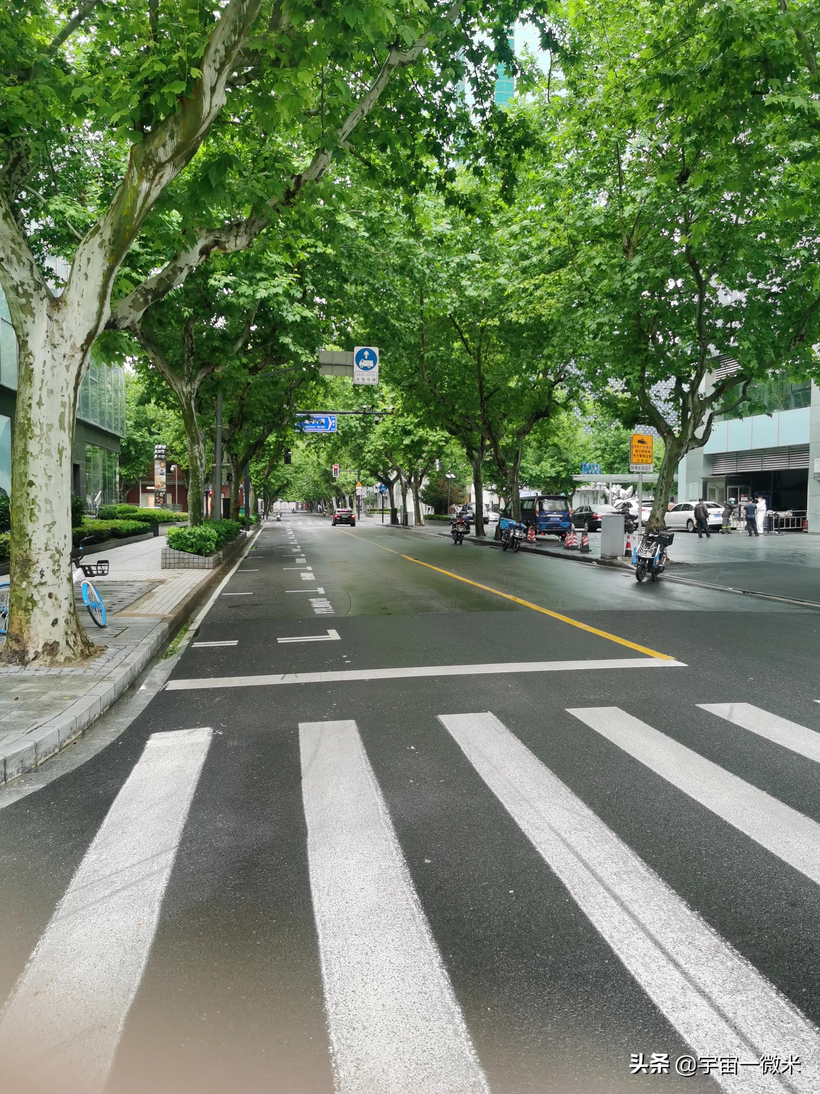 上海解封前的视频,上海古美街道平南一二村解封了吗