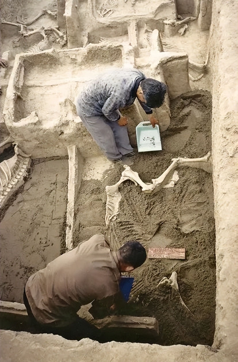 潘付生:“天子驾六”车马坑发现20周年记