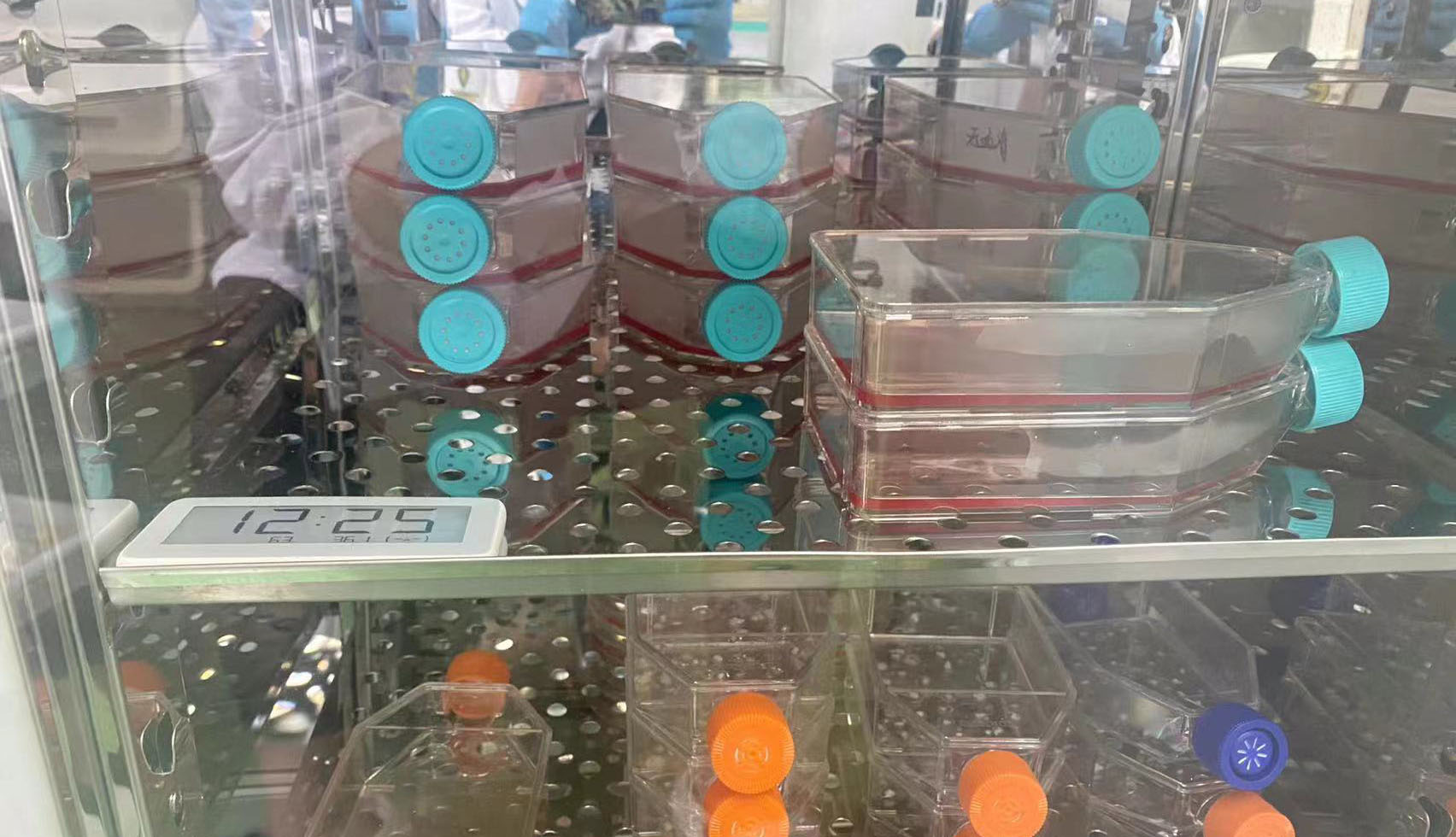 现实版“药神”！只有高中学历的他，为救儿子自行制“药”