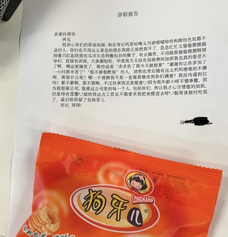 最硬核的辞职信500字,最近火了最硬核的辞职信