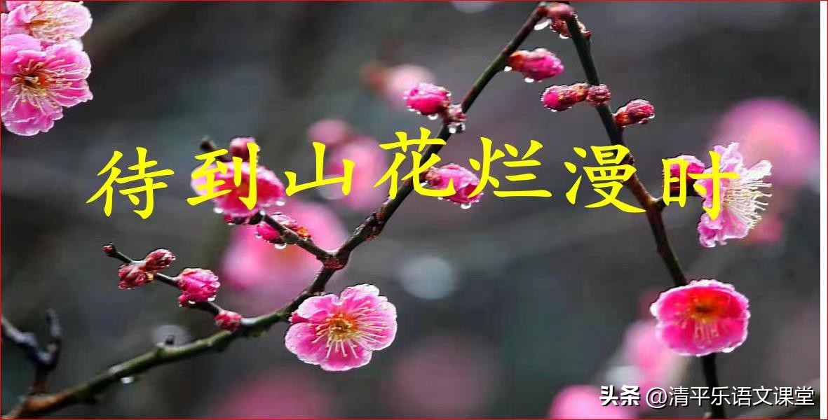 2023中考作文猜题——我在春天里——（附学生满分习作22篇）