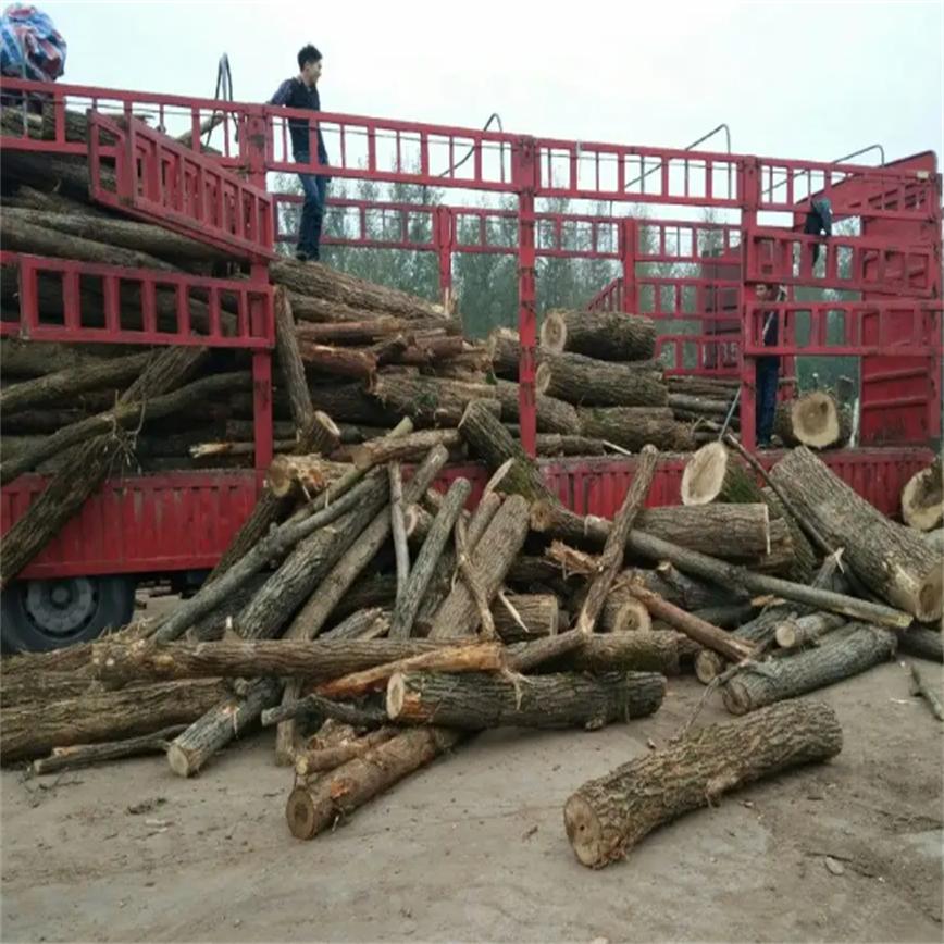 稻草可以做燃料吗,秸秆稻草做燃料