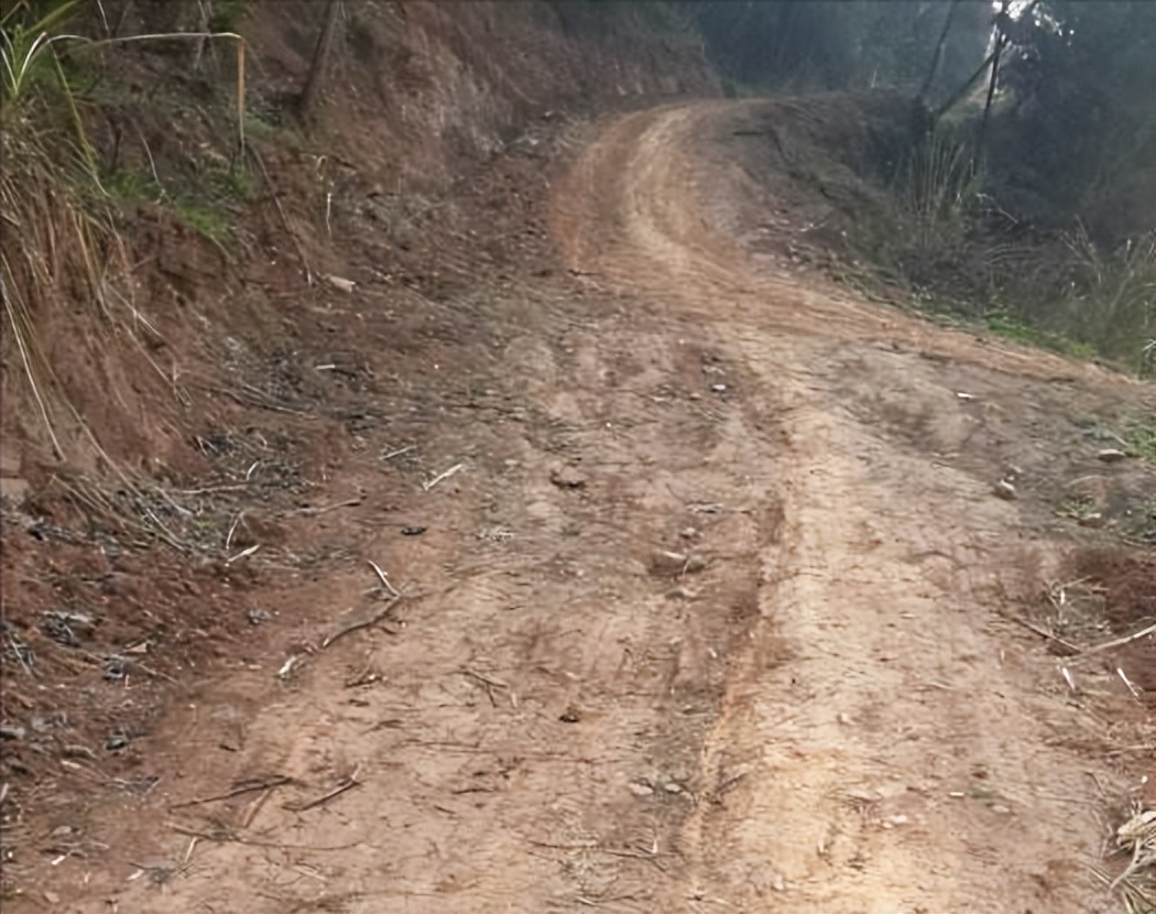 山东66岁老人自办活人出殡,山东省一位66岁老人办活人葬礼