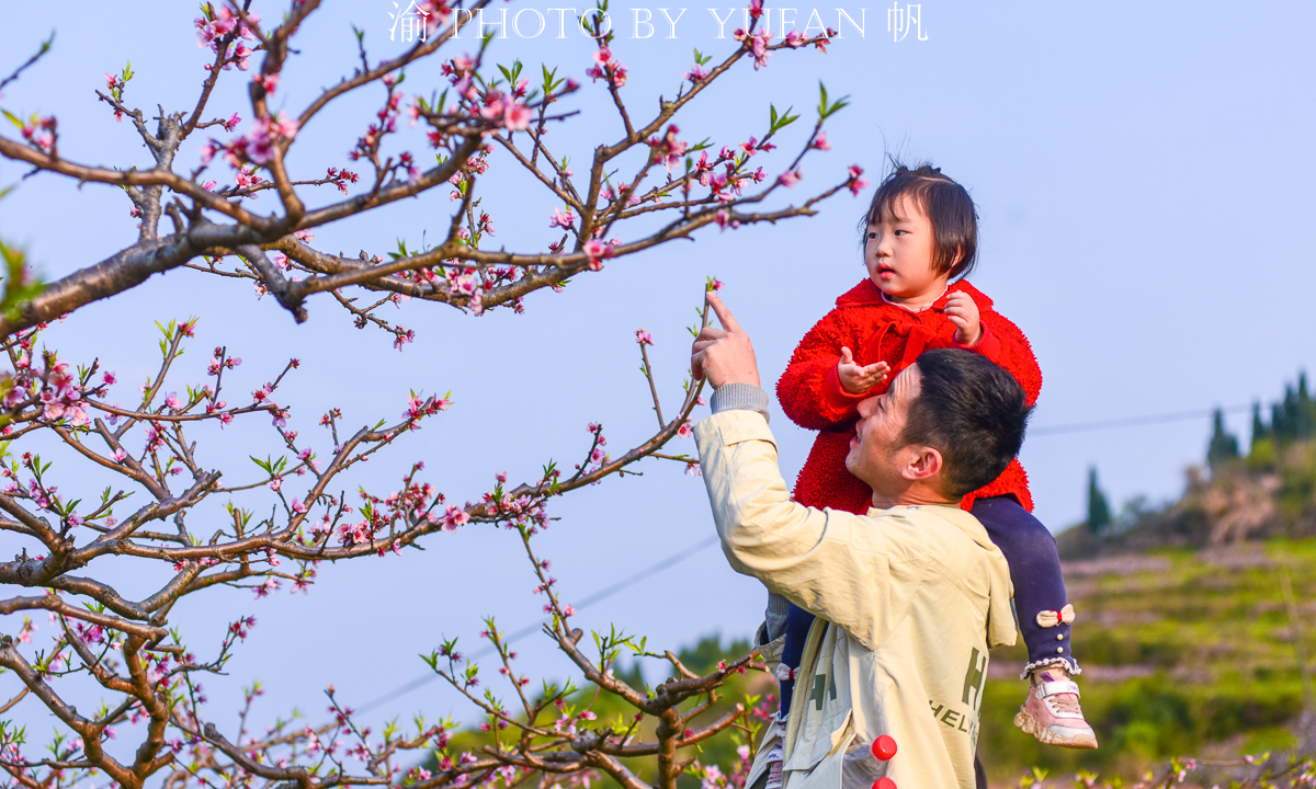潼南油菜花旅游攻略,美好春日潼南赏花地图快来get