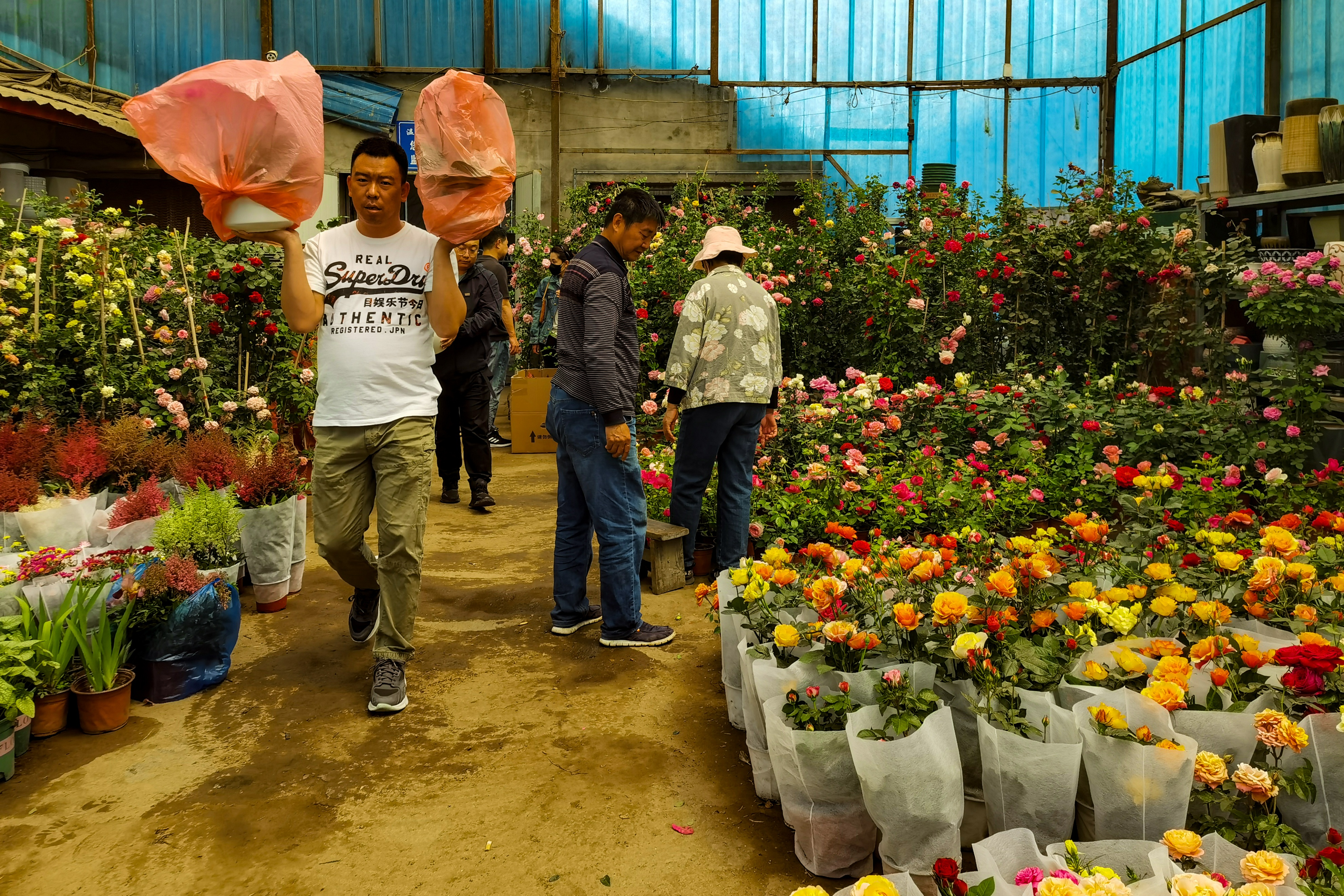 沈阳南井花卉市场,沈阳市南井花卉市场地址