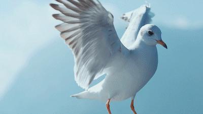 有一种生活叫做云南的生活,有一种叫云南的生活原文