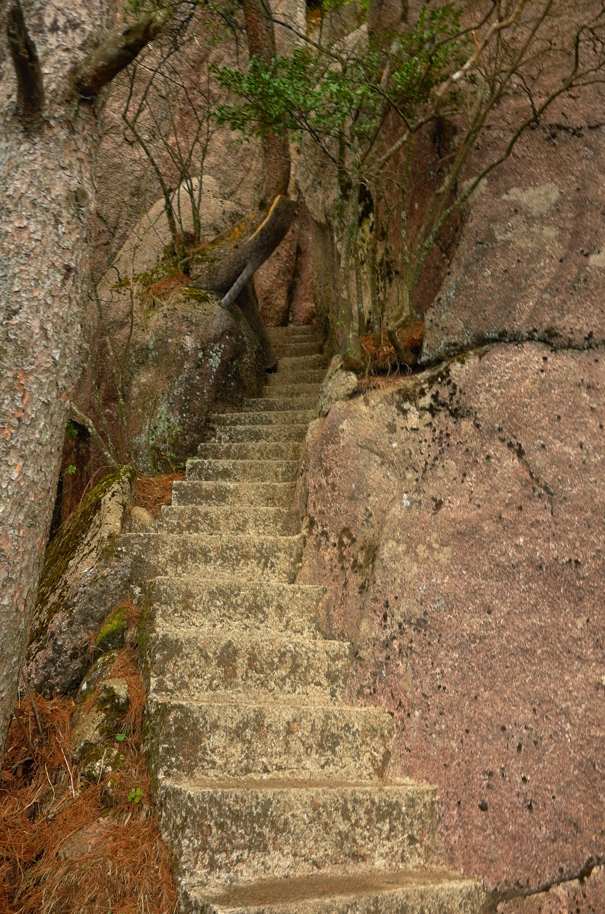 黄山慈光阁到玉屏楼步行多久,爬黄山从慈光阁开始的攻略