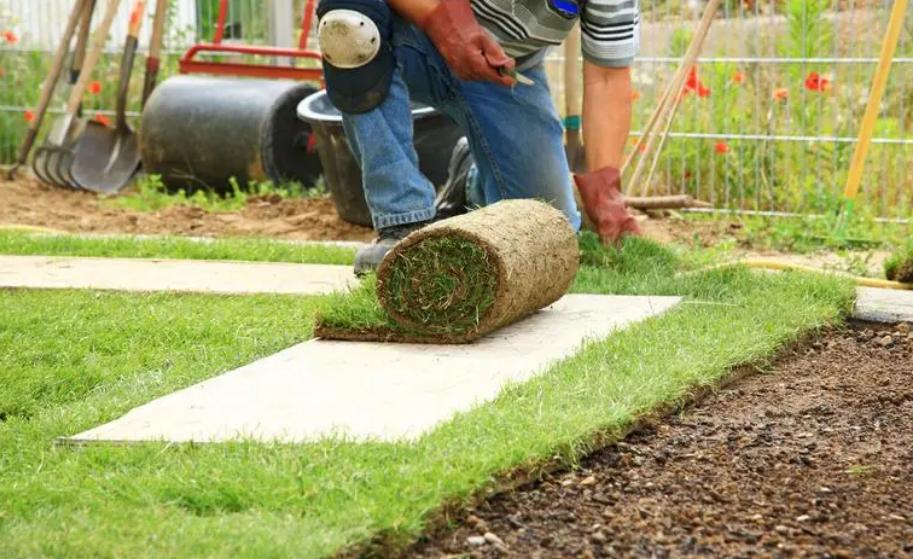 一般草坪多少钱,草坪每平方报价多少