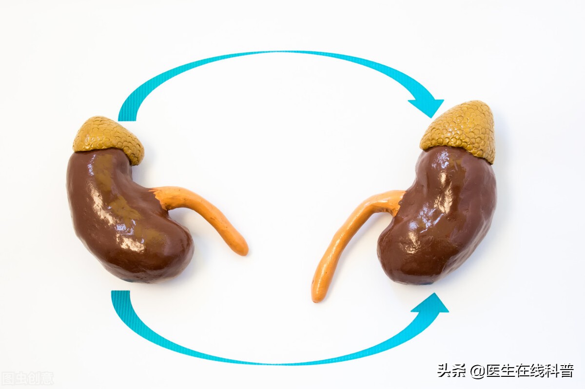 肌酐从200降到135是好转了吗,慢性肌酐升高后逆转的案例分享