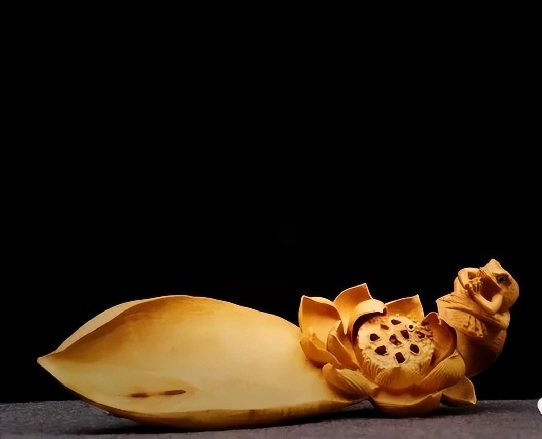 最好看的黄杨木,十种最好看的黄杨木