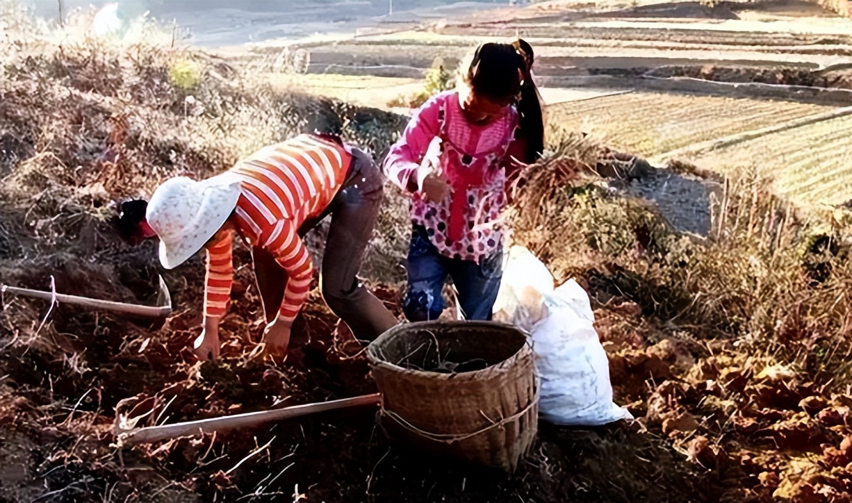 2019年浙江第一富婆公开征婚,浙江富婆网上征婚