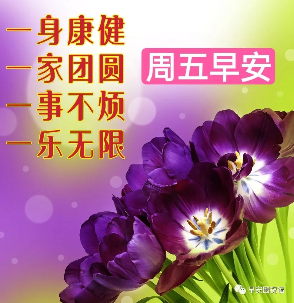 星期三早安创意早上好问候语图片,最新周五早上好问候语表情包