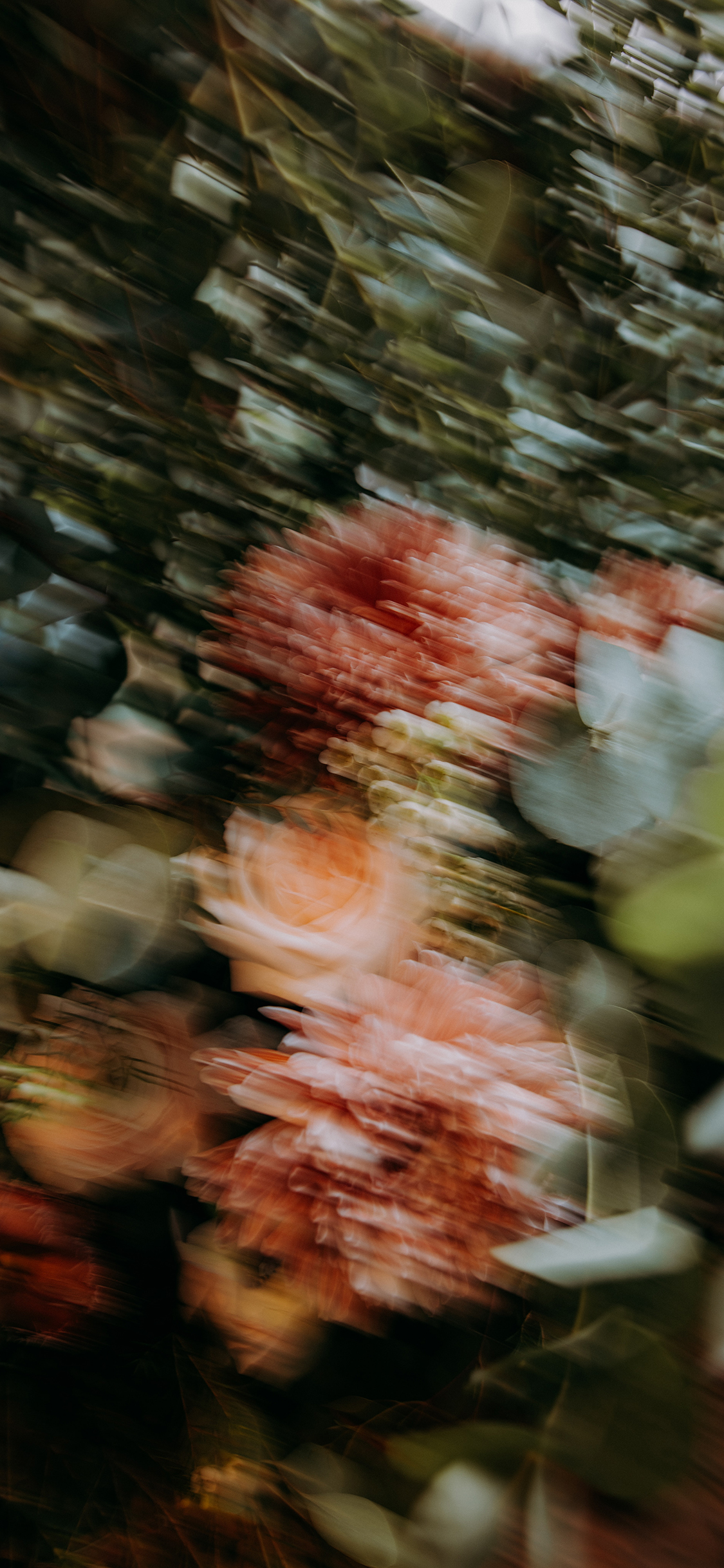 2023年手机壁纸,2023年最新款超清手机壁纸