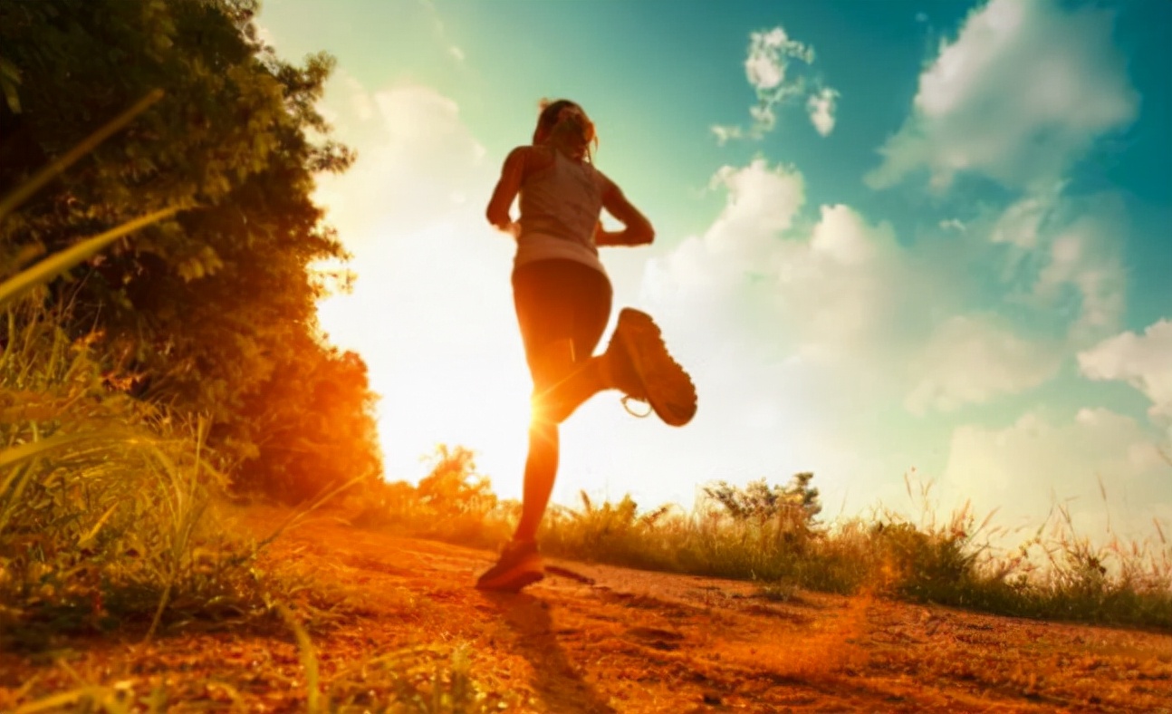 觉醒：内心世界的凤凰涅槃