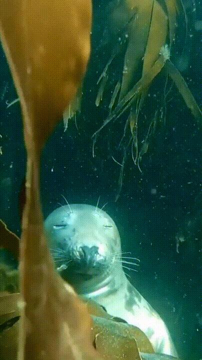 海底奇观欣赏,海底世界奇妙之旅图片