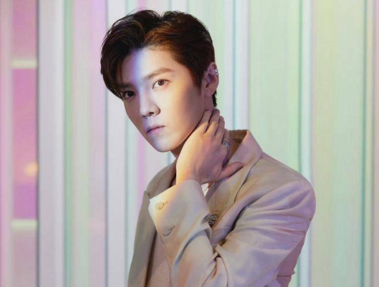 貌若潘安的潘安,娱乐圈四大绿林好汉鹿晗