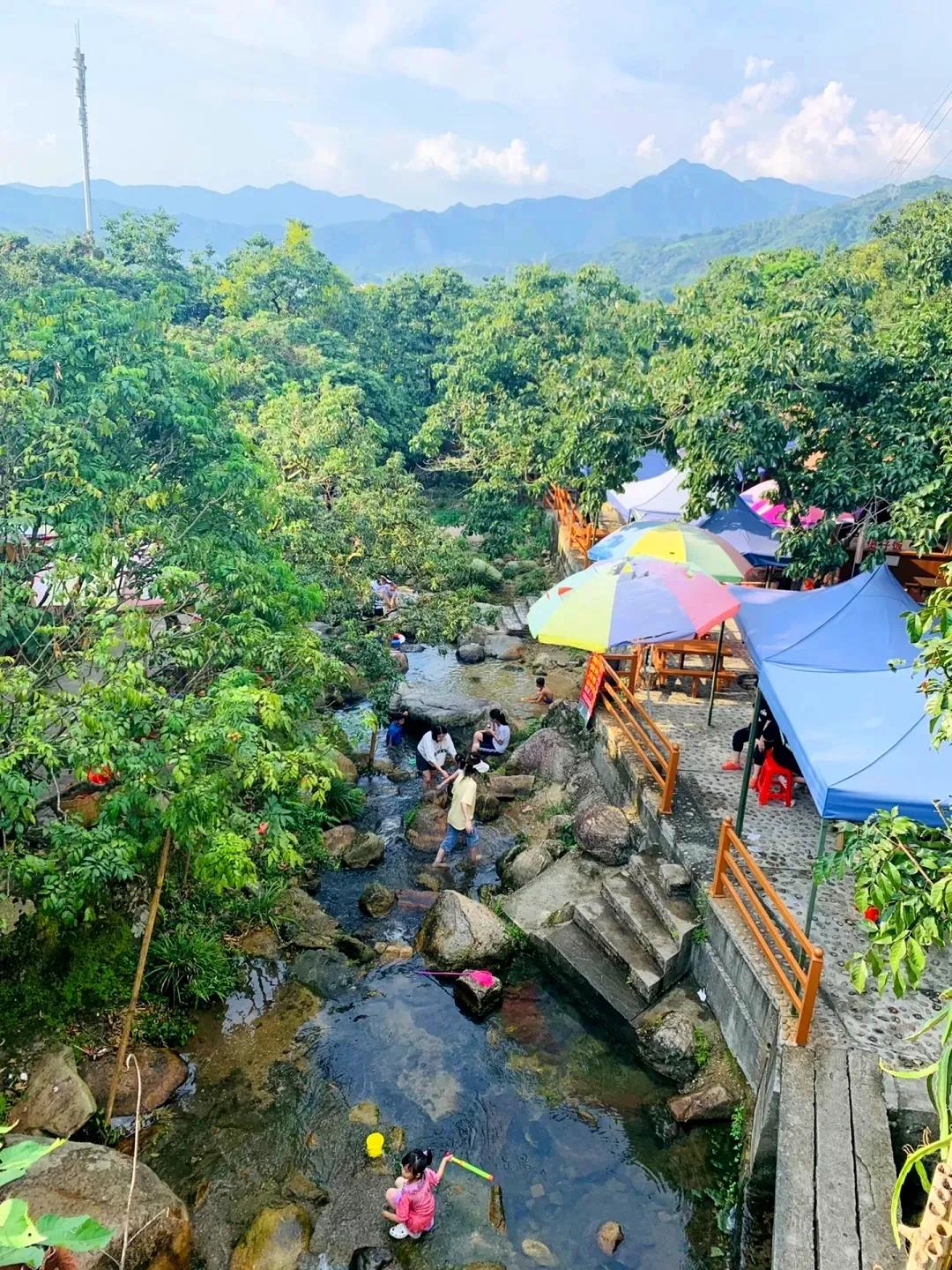广州摘荔枝一日游最佳路线,从化自驾游荔枝采摘园
