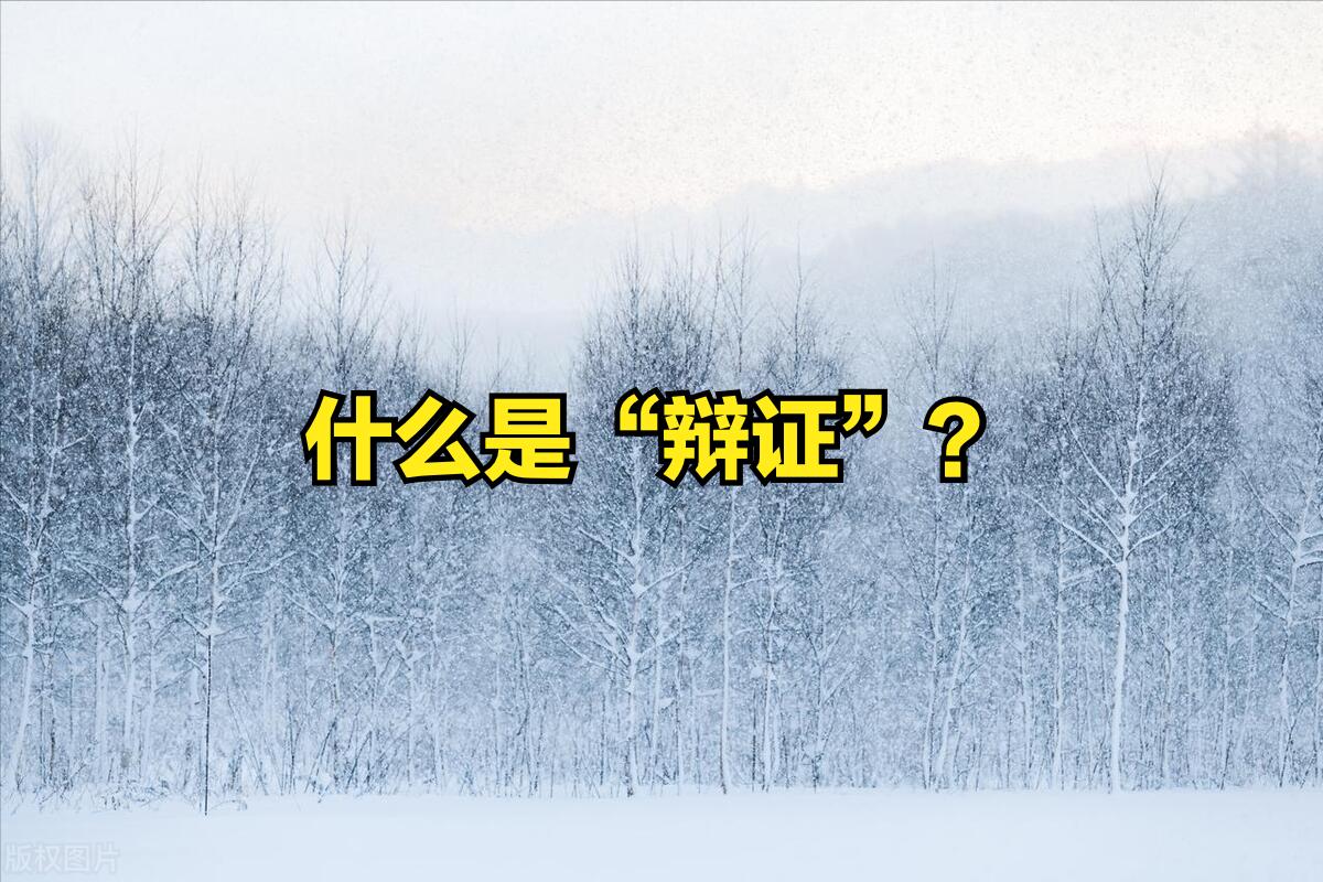 中医的辨证论治讲解,学中医辨证100条口诀