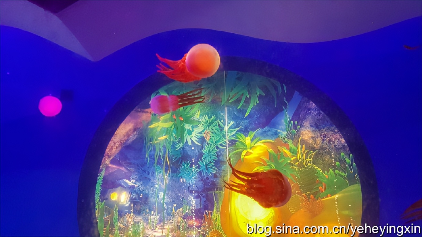 深圳东部华侨城视频,东部华侨城深海探奇