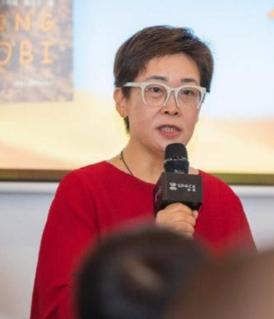 央视八位未结婚的女人,央视十大美女主持人轶事