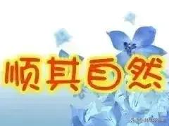 2023年06月02日星期五农历:癸卯年【兔年】四月十五第22周