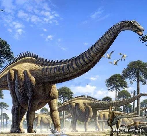 体型最大的十种肉食恐龙,十大食肉恐龙体型排名