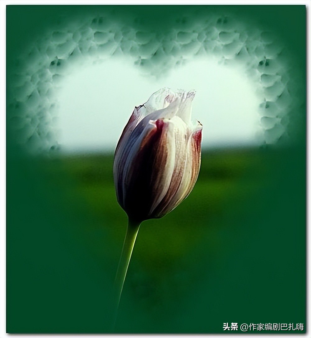 姐弟恋比例持续攀升原因,全民姐弟恋比例持续攀升