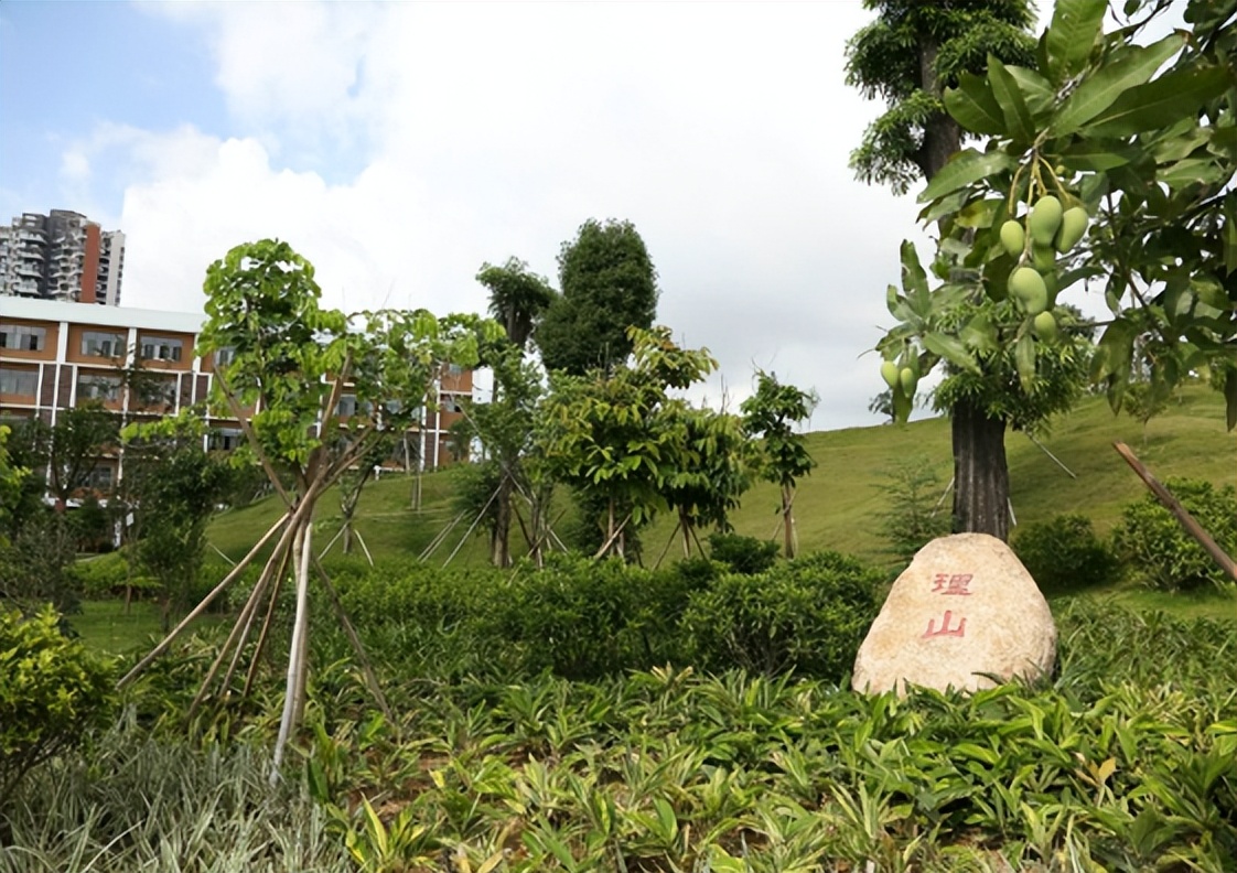 深圳科学高中2021高考,深圳科学高中2021排名