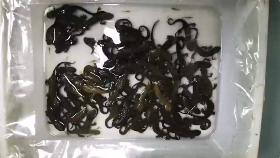 法治热点早知道,法治热点早知道问题