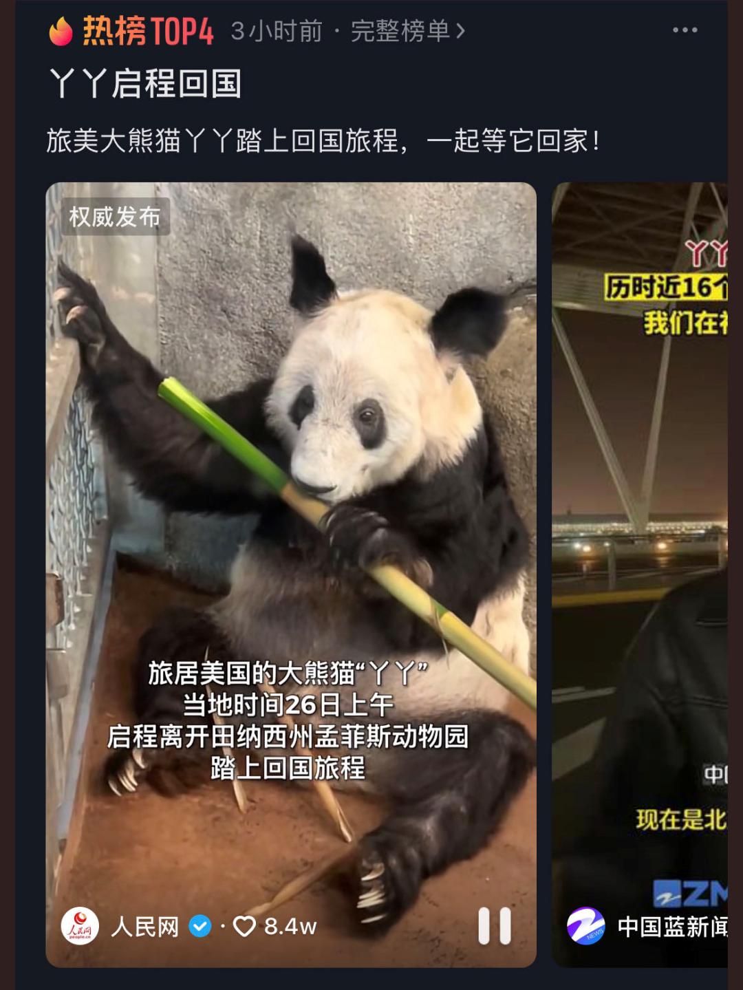 熊猫母女分开几年再次相见,熊猫母子分开后再次相见