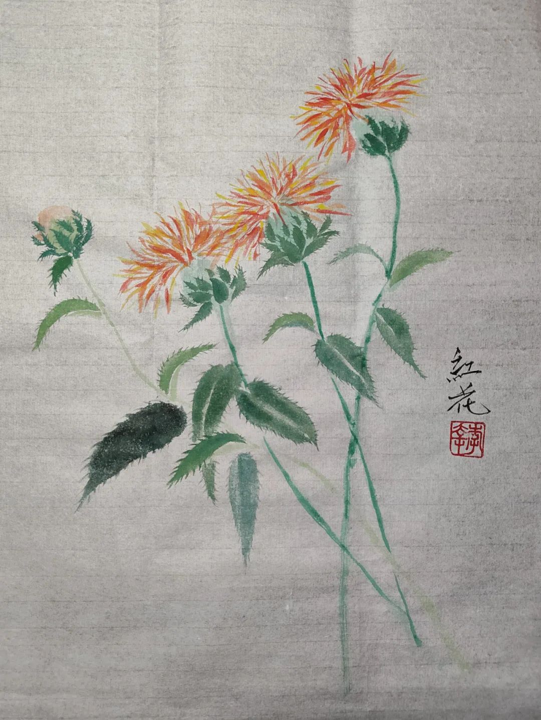 红花跟藏红花功效有什么不同,红花和藏红花都有哪些药效
