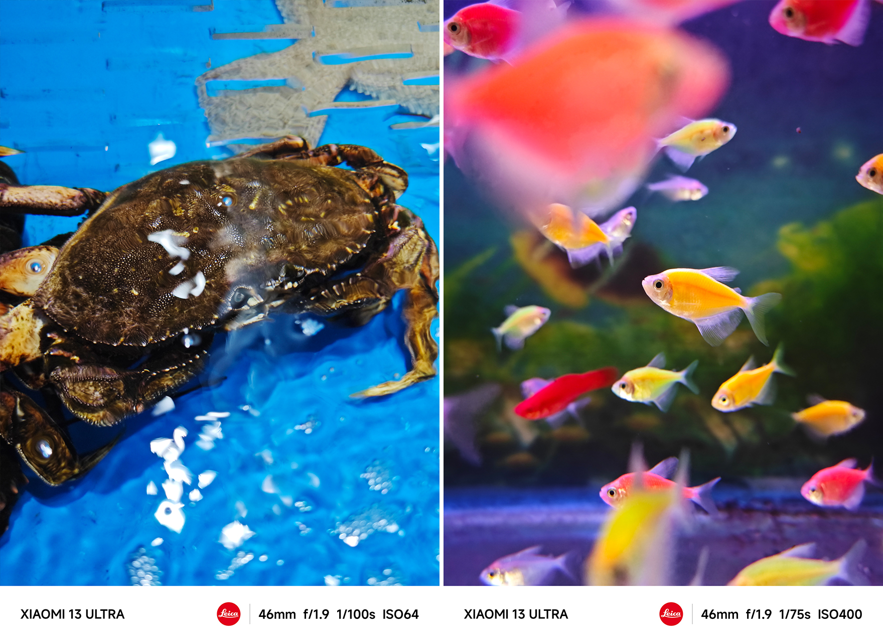 小米13ultra和遥遥领先对比,小米13ultra全面评测