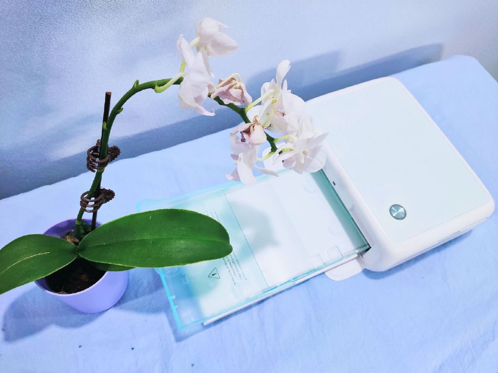 在家开照相馆不是梦？一台汉印CP4000L帮你实现愿望