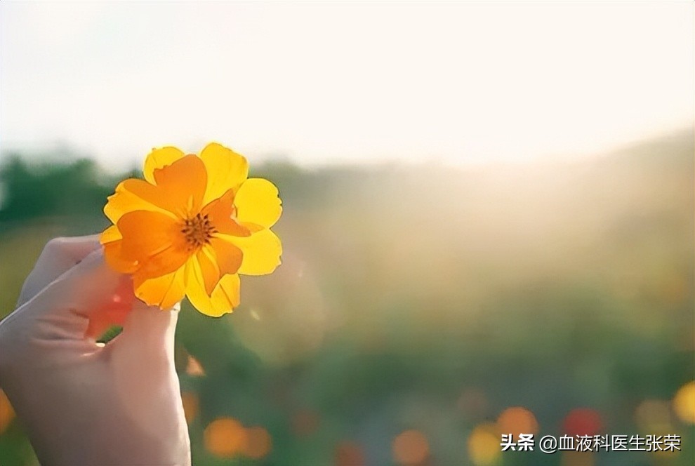 中药不如西药起效快，为什么选择中医治疗的患者越来越多？