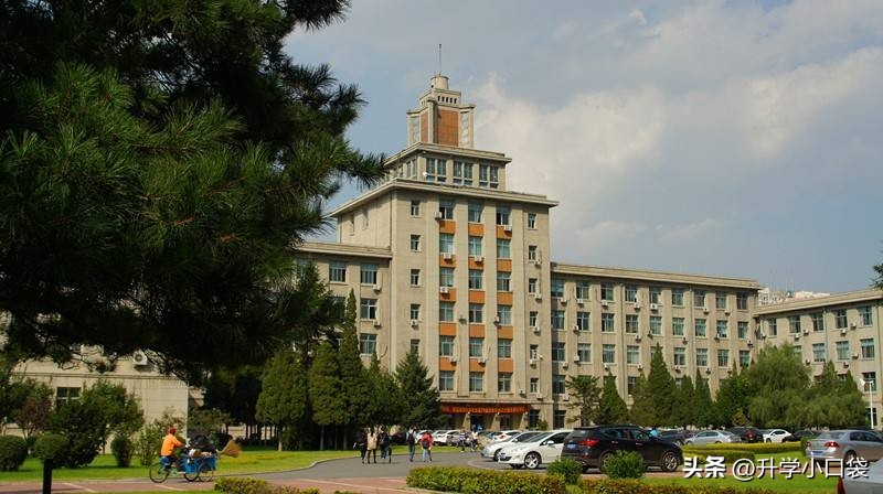 东北大学毕业生去北上广,东北大学2023年毕业生就业情况