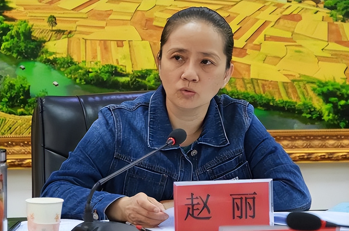 广西“最美书记”赵丽，敛财1344万，强迫司机6年，给460万封口费