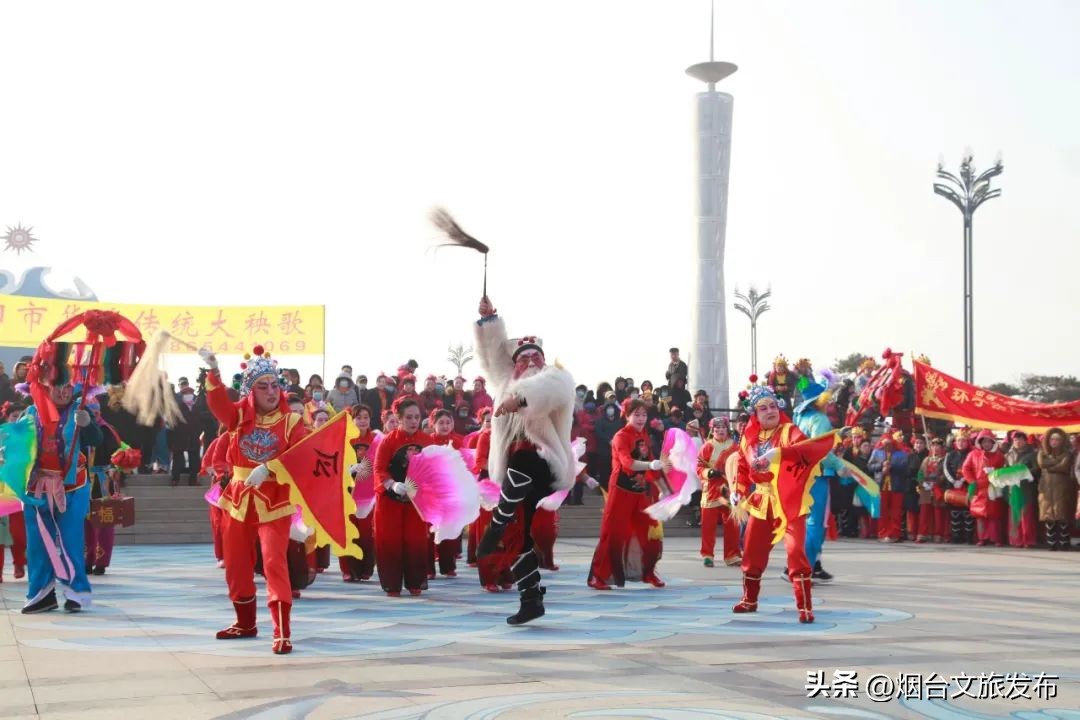 魅力海阳行,魅力新浦海阳