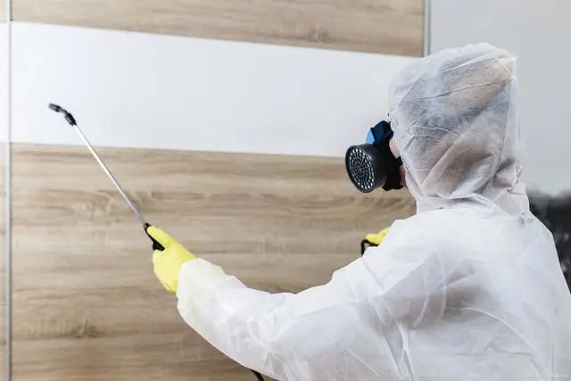 蟑螂从厨房下水道出来怎么办,厨房好多像蟑螂的虫怎么根除