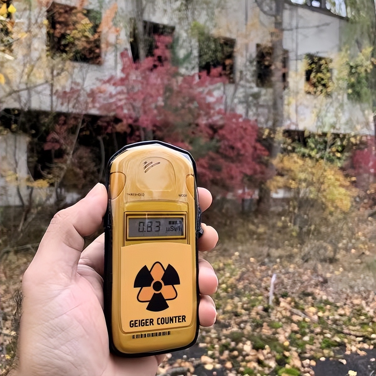 日本福岛大米被包装,福岛滞销大米应该如何解决