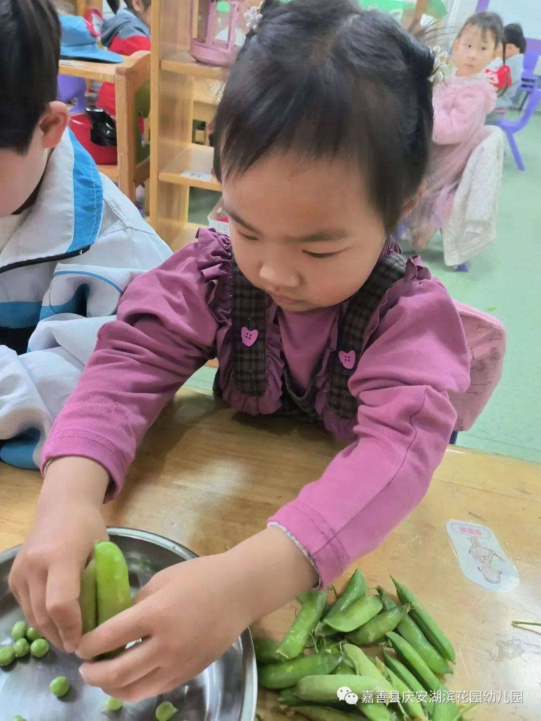 小手的探秘之旅|嘉善县庆安湖滨花园幼儿园小班组课程故事