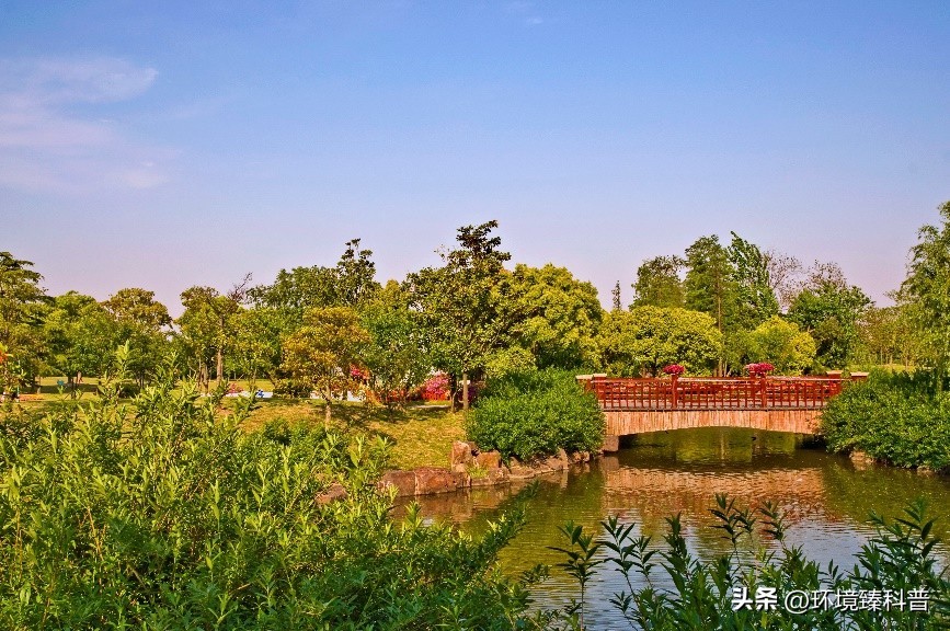 上海春季踏青亲子游好去处,上海周边城市踏青好去处推荐